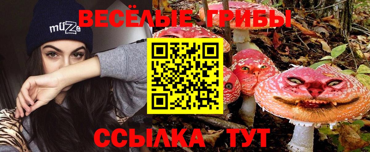 Псилоцибиновые грибы MAGIC MUSHROOMS  Вход с VPN  Ступино 