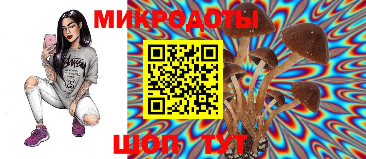 Псилоцибиновые грибы мицелий Ступино